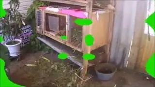 Моё хозяйство