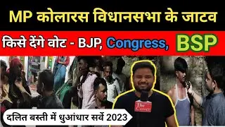 MP Politics: मध्य प्रदेश कोलारस विधानसभा के जाटव किसे देंगे वोट || भाजपा कांग्रेस या फिर बसपा ?