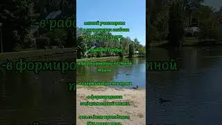 в чем участвует магний #shortsvideo #shorts_ #shortsyoutube #siberianwelness
