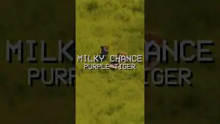 The music video for Purple Tiger is out now! 