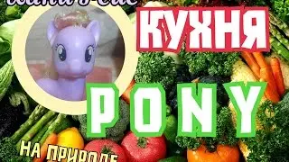 Кухня PONY! #1