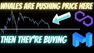 Polygon Matic: Don't Fall Victim To Whale Manipulation!! | Polygon MATIC Price Prediction 2021