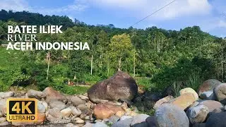Forest River Nature Sounds - Batee Iliek Aceh Indonesia