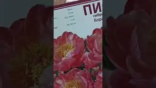 Питомник 