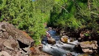 Дикая природа России, реликтовая тайга, чистейшее горное озеро Амут. Подводная съёмка. (Отрывок)