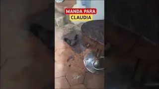 MANDA PARA ALGUMA CLAUDIA QUE VOCÊ CONHECE