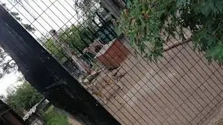 8 июля 2020 г.