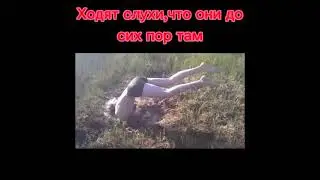 попали в нарнию/ tik tok funny