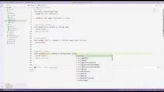Flutter | Dart | Function Parameters