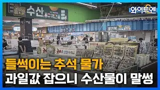 "잡을 테면 잡아 봐?"…잡으려면 도망가는 '추석 물가'ㅣ와이투엔[344회] / YTN2