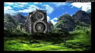 TiGROBEATS - Trap Club Beat Instrumental 2016