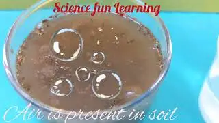 SCIENCE ACTIVITY - AIR is present in SOIL