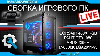 Сборка игрового ПК с RGB подсветкой. LIVE!