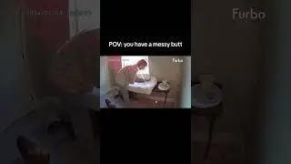 This precious moment was caught on my Furbo camera 😹 #furbo #furbocatcamera #catscreaming
