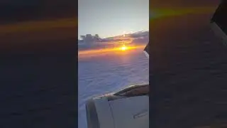 когда только вернулась домой