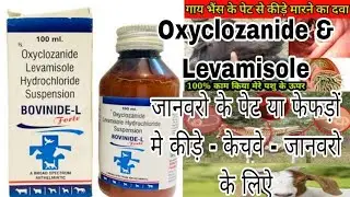 Flukfree Suspension ! Oxyclozanide and Levamisole Syrup for Animal Uses dose जानवरो मे पेट के कीड़े