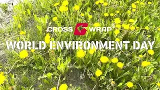 World Environment Day | June 5th, 2023 | Cross Wrap