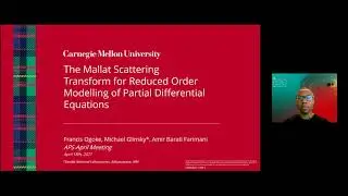 The MST for ROM modeling of PDEs