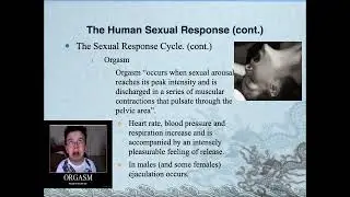 Understanding the Self | The Sexual Self | Sexuality