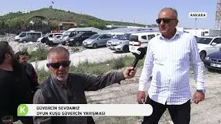 OYUN KUŞU GÜVERCİN YARIŞMASI