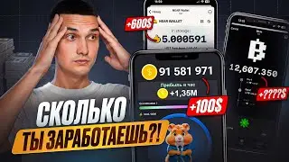 СКОЛЬКО ТЫ ЗАРАБОТАЕШЬ НА HAMSTER | BLUM | HOT?!