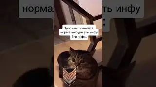Твой тиммейт дает инфу (Standoff 2)