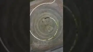 Песня о Виктории Булитко.