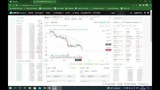 Bitcoin looking scary...20k next?