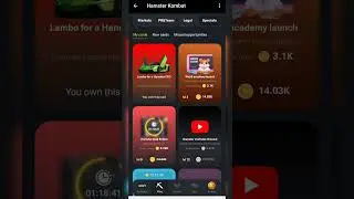 Нове COMBO на Hamster Kombat | 29.05 | #Shorts