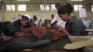 Leather Industry Development Institute (LIDI)