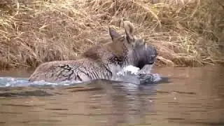 Ямозеро. 1 часть 2019 год.