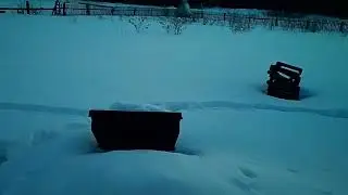 косули прошлись по пасеке.