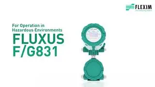 Расходомер FLUXUS F G831 для применения в системах управления опасными технологическими процессами