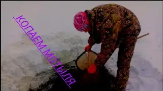 Пытаемся найти мотыля, чего только не нашли.