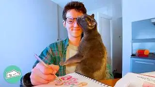 Cat Loves Painting With His Dad Every Day | Cuddle Buddies