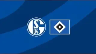 Schalke 04 Hamburg 1-3 spielerreaktion nach spiel