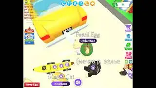 Смотрю трейды на яйца, часть 1  Roblox Adopt me