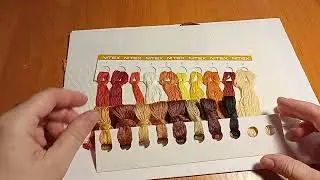 Филины и совы