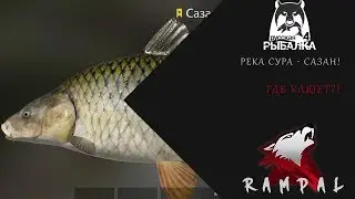 RF4! РР4! Русская рыбалка 4! Река Сура - Сазан!