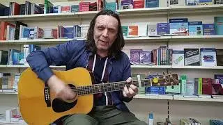 Музыка в книгах. Владимир Селицкий