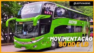 Só DD e LD na RODOVIÁRIA do TIETÊ #3 | DESFILE DOS GIGANTES na RODOVIÁRIA de SÃO PAULO