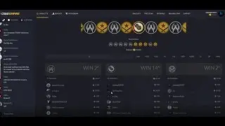 HUGE CSGO GAMBLING WIN