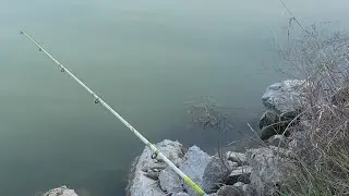 #pescuitlacrap #pescuitsportiv #fishingvideo #pesca #pescuit #fishing #fpv