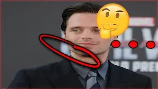 Sebastian Stan - Narrated Wiki English
