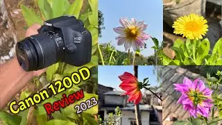 Canon 1200D Review 2023 | Canon 1200D Review Hindi | Canon 1200D Videos,Photos,Zoom Test