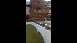 PAMNAS BONSAI BADUNG #bonsaiinspirasi #bonsai #bonsaitree #belajarbonsai