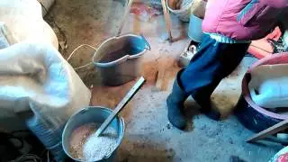 Сельские будни, кормление животных , спасение курицы.