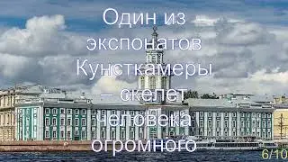 Интересные факты о Кунсткамере