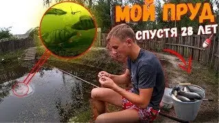 МОЙ ПРУД ЧЕРЕЗ 28 ЛЕТ 2 Ч! ПРУД СПУСТЯ 28 ЛЕТ!  Зарыбление, кормление, аэрация, уход.
