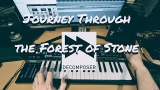 Jam Session [Journey Through the Forest of Stone] - (no talking)